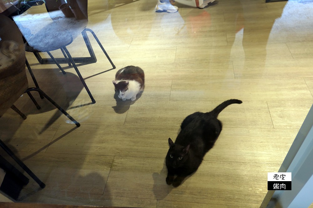 板橋貓餐廳推薦 | 【貓嘰咕自家烘焙】素食咖啡廳推薦舒芙蕾 / 跟貓一起進食 / 內有菜單 - 老皮嫩肉的流水帳生活