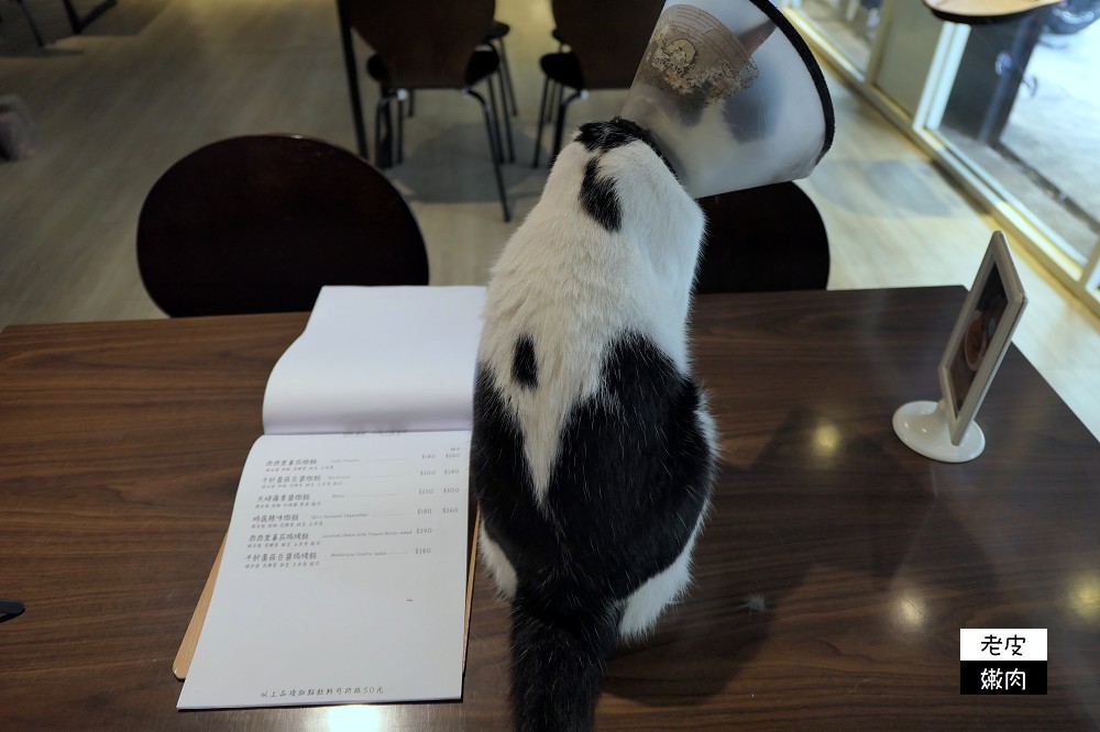 板橋貓餐廳推薦 | 【貓嘰咕自家烘焙】素食咖啡廳推薦舒芙蕾 / 跟貓一起進食 / 內有菜單 - 老皮嫩肉的流水帳生活