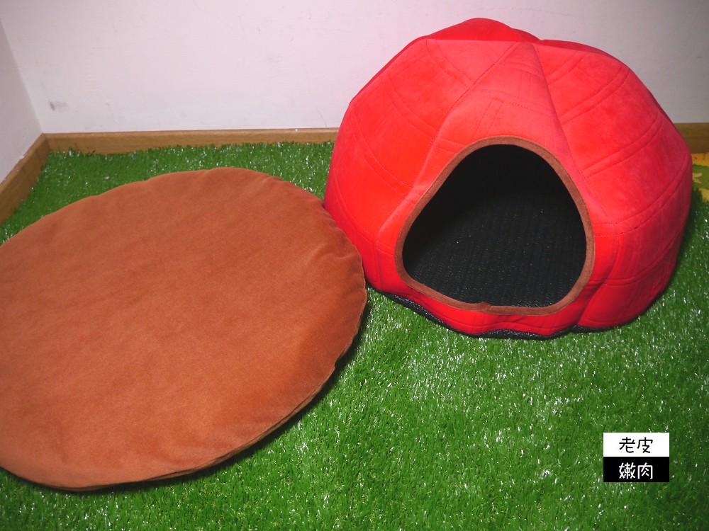 貓咪床墊推薦 | 【Lucky Me 寵物設計】 台灣製造 寵物睡墊涼墊 貓咪可拆式床墊 方便清洗的貓咪墊 - 老皮嫩肉的流水帳生活
