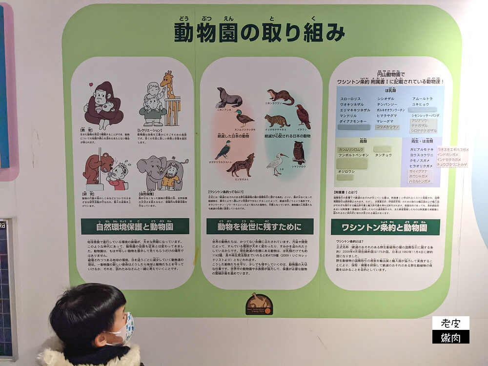 札幌親子景點推薦|札幌【圓山動物園】有北極熊 可愛浣熊 還有遊具可以玩 - 老皮嫩肉的流水帳生活