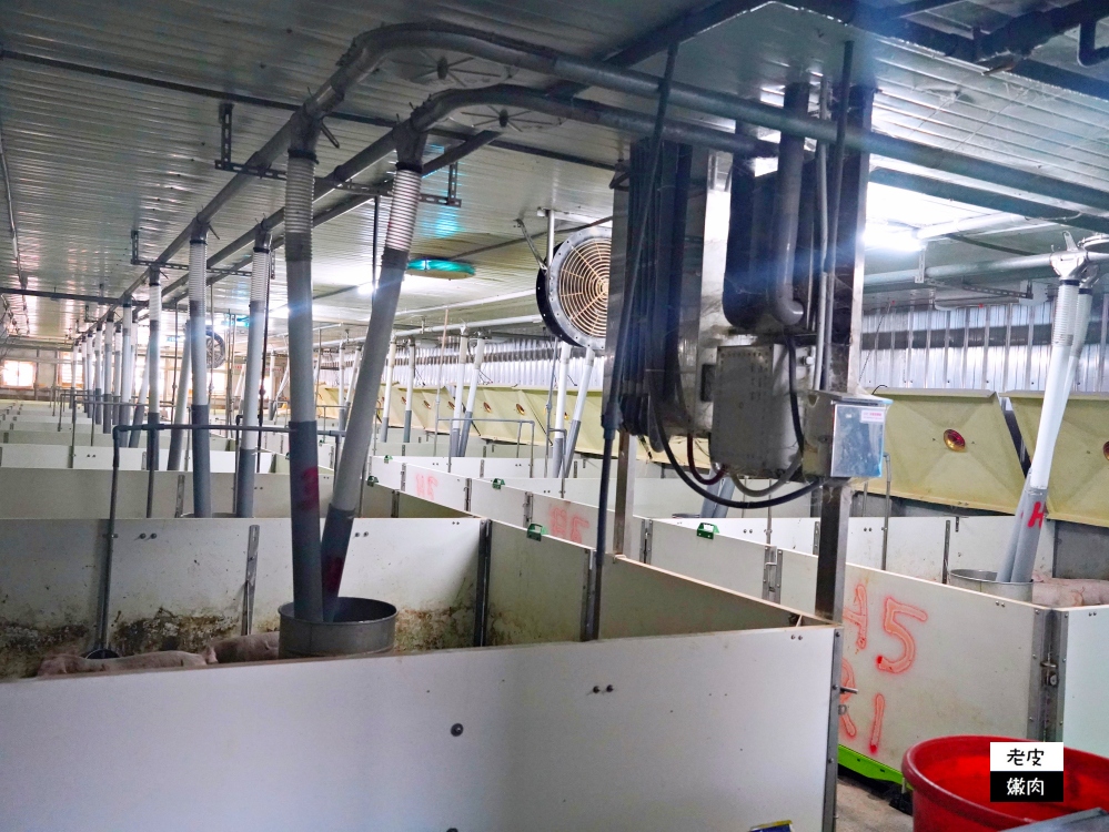 台灣奇蹟-立富畜牧場|採用先進飼養設備、環保高規格的養豬場 - 老皮嫩肉的流水帳生活