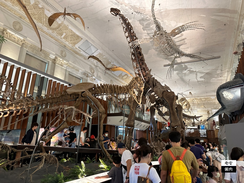台北室內親子館-臺灣博物館古生物館|巨型恐龍加上超吸睛神秘金庫 - 老皮嫩肉的流水帳生活