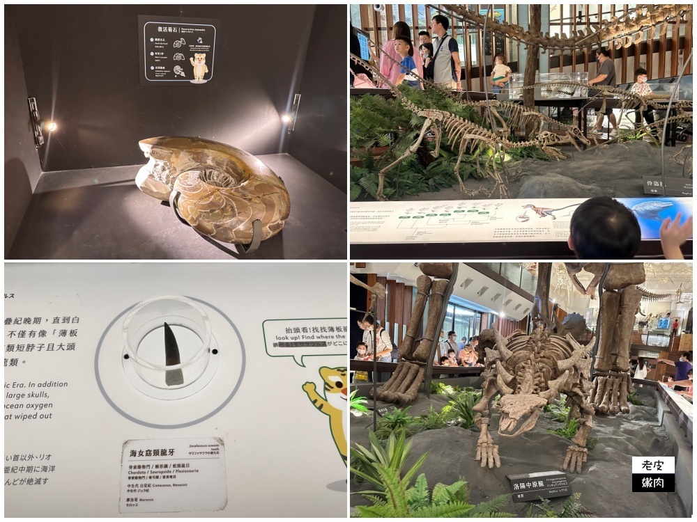 台北室內親子館-臺灣博物館古生物館|巨型恐龍加上超吸睛神秘金庫 - 老皮嫩肉的流水帳生活