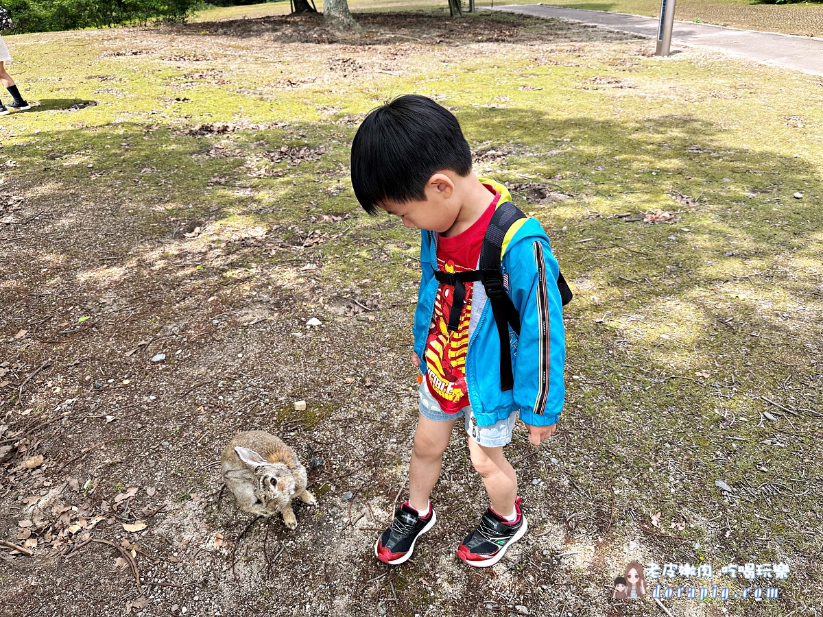 廣島親子景點 瀨戶內海景點 大久野島 廣島兔子島 毒氣工廠 