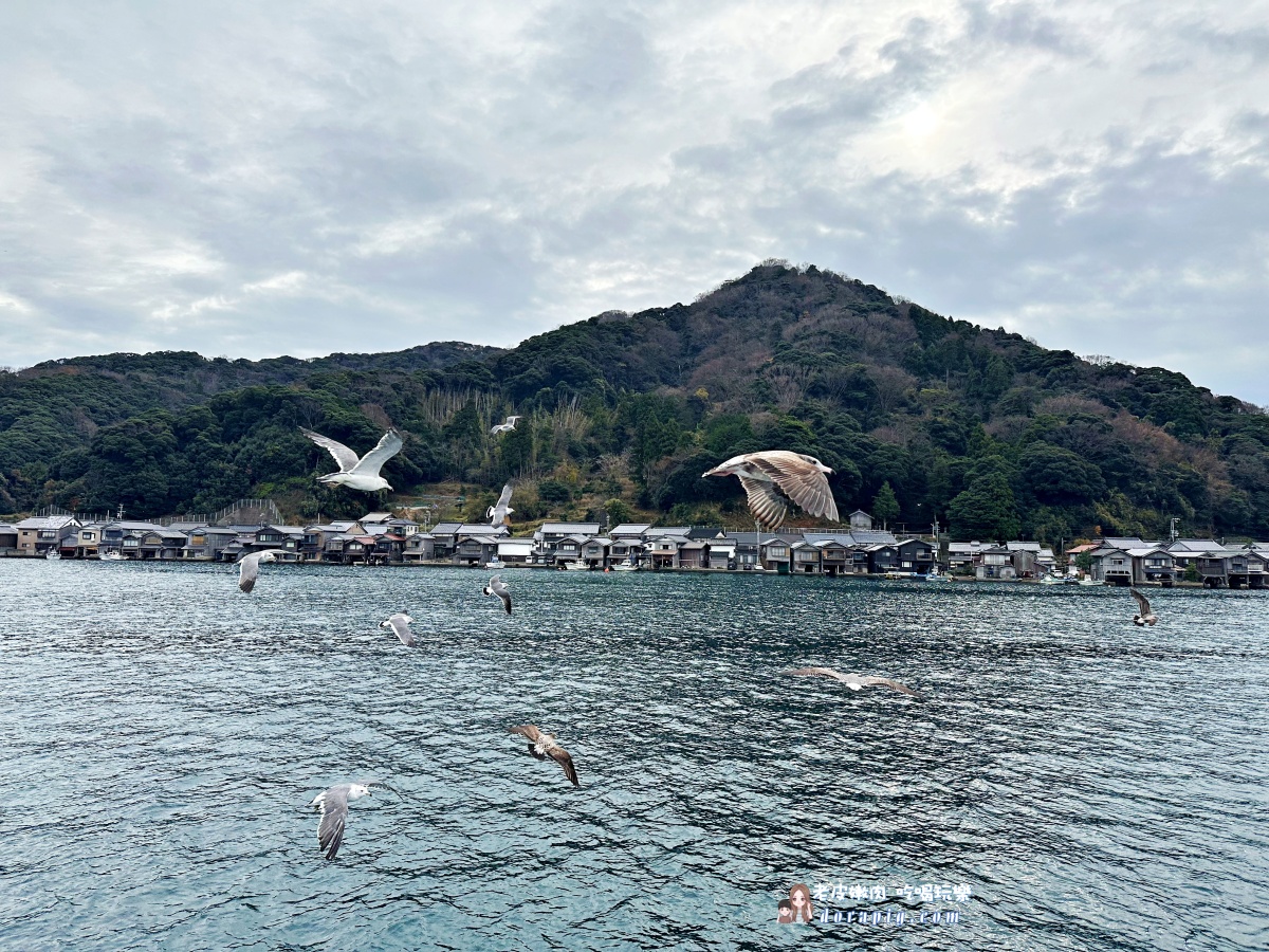 【京都一日遊就要選這裡】京都伊根灣、天橋立、美山茅屋之里 不須自駕也可以抵達 - 老皮嫩肉的流水帳生活