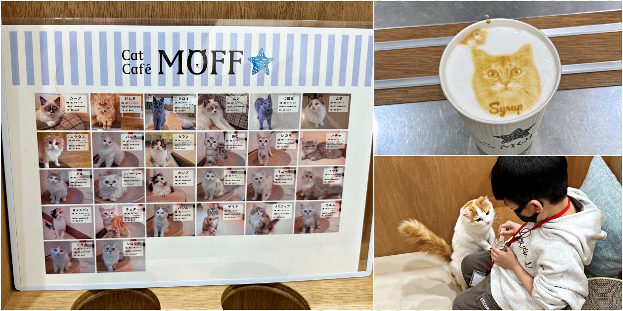 【沖繩室內景點】Cat Cafe MOFF 超療癒貓咪咖啡廳 超過25隻貓討摸 - 老皮嫩肉的流水帳生活