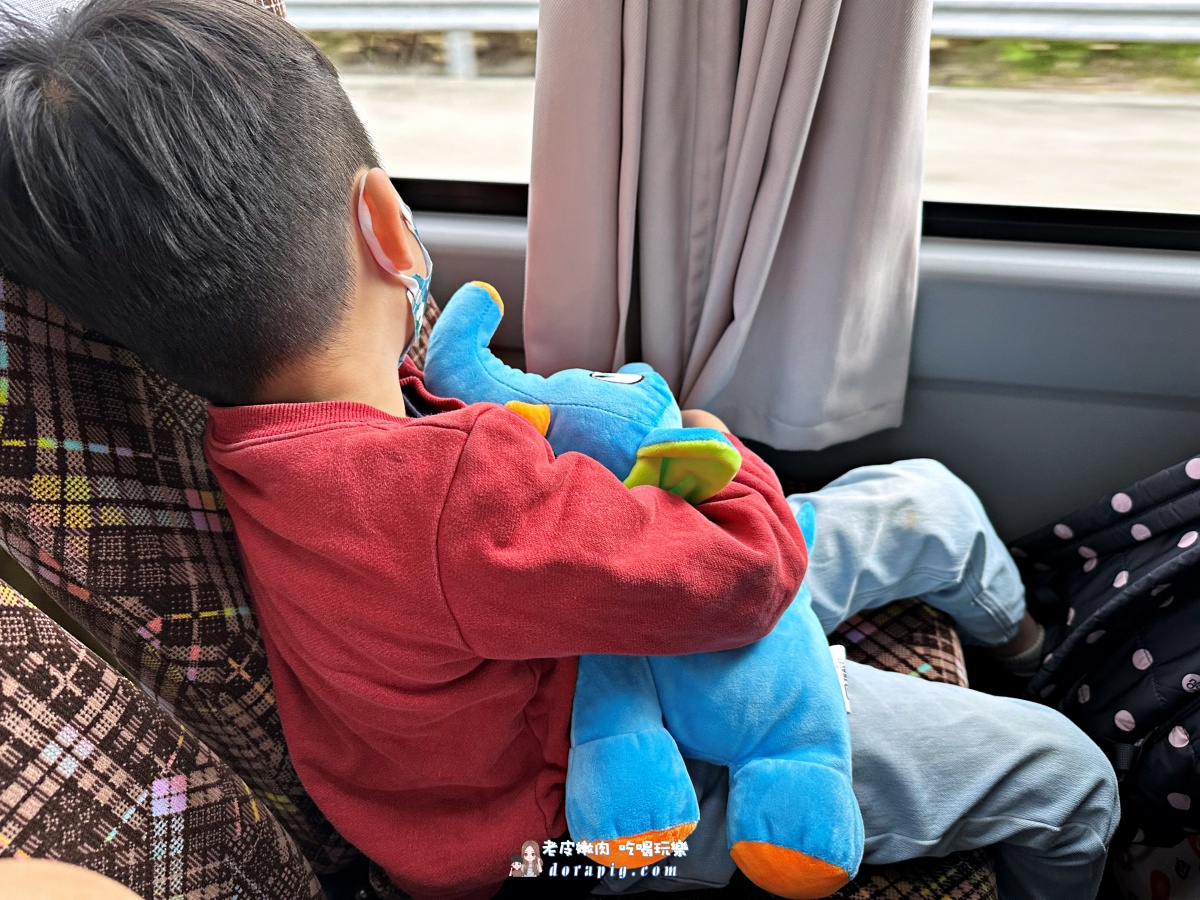 出國旅遊必備小物清單【Travel Blue 藍旅】旅行好物推薦 旅遊頸枕 兒童抱枕 - 老皮嫩肉的流水帳生活