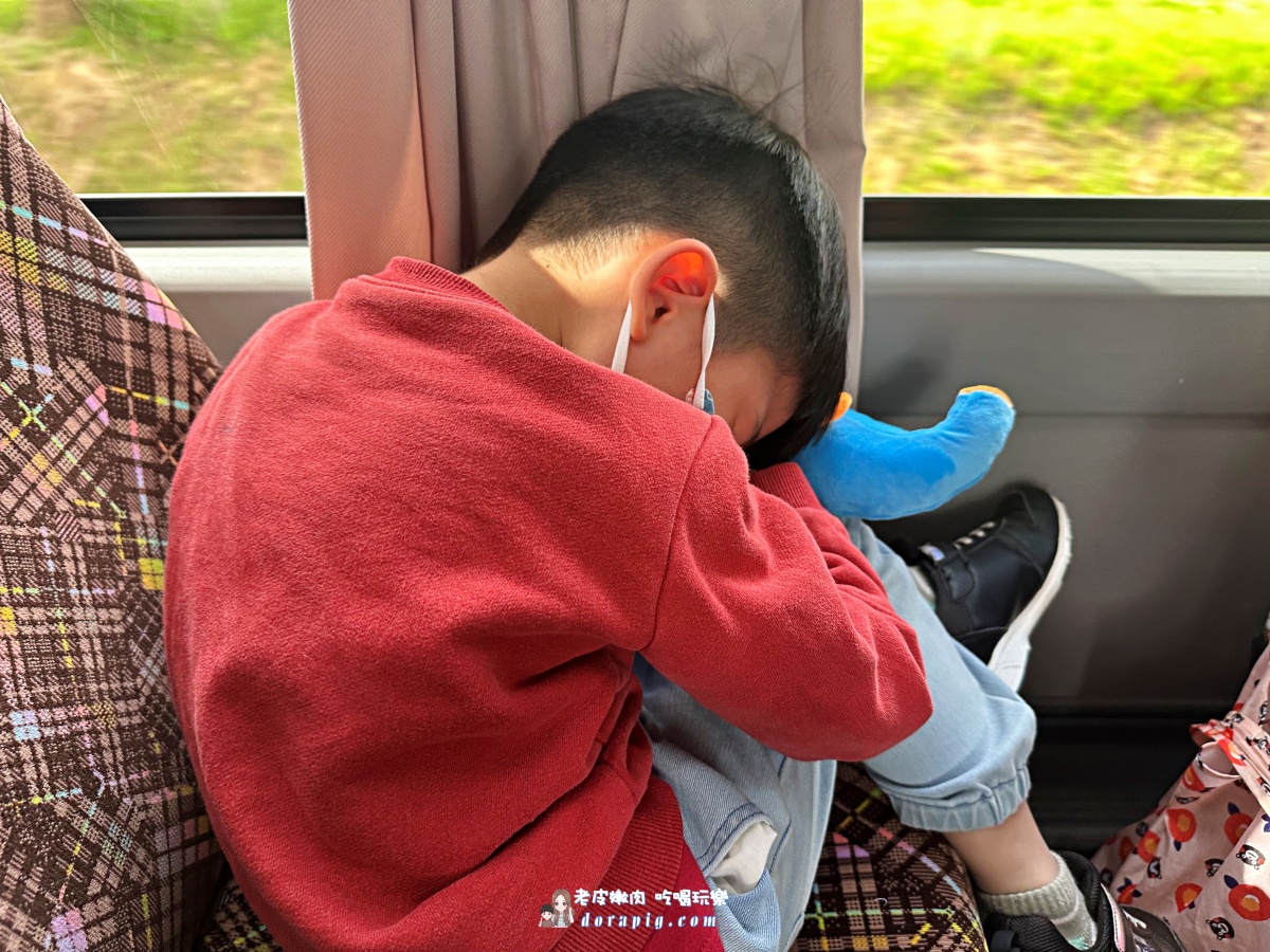 出國旅遊必備小物清單【Travel Blue 藍旅】旅行好物推薦 旅遊頸枕 兒童抱枕 - 老皮嫩肉的流水帳生活