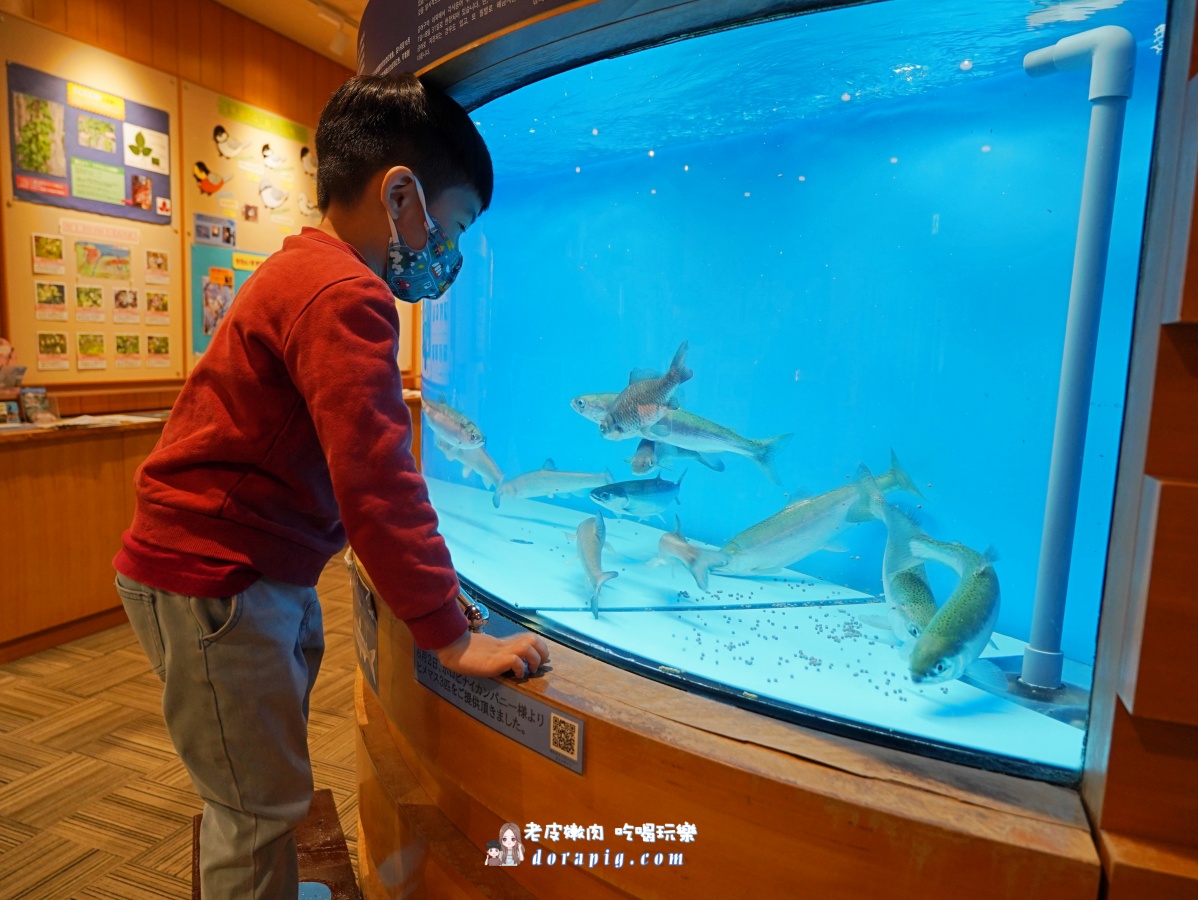 【北海道一日遊】站上地球邊緣!北海道5大絕景一次打包 - 老皮嫩肉的流水帳生活 【北海道一日遊】站上地球邊緣!北海道5大絕景一次打包 - 老皮嫩肉的流水帳生活