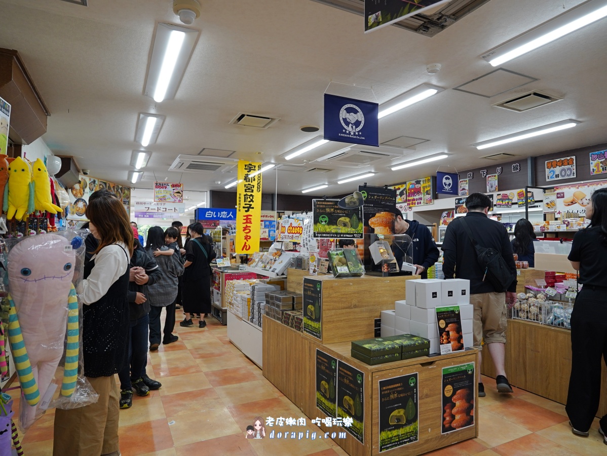 【北海道行程推薦】旭山動物園、美瑛青池絕美一日遊 - 老皮嫩肉的流水帳生活