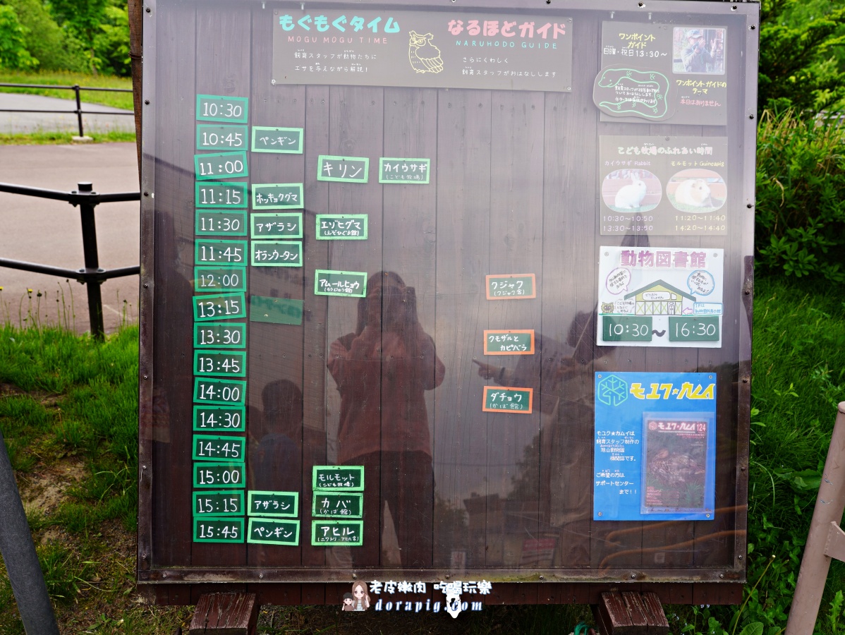 【北海道行程推薦】旭山動物園、美瑛青池絕美一日遊 - 老皮嫩肉的流水帳生活