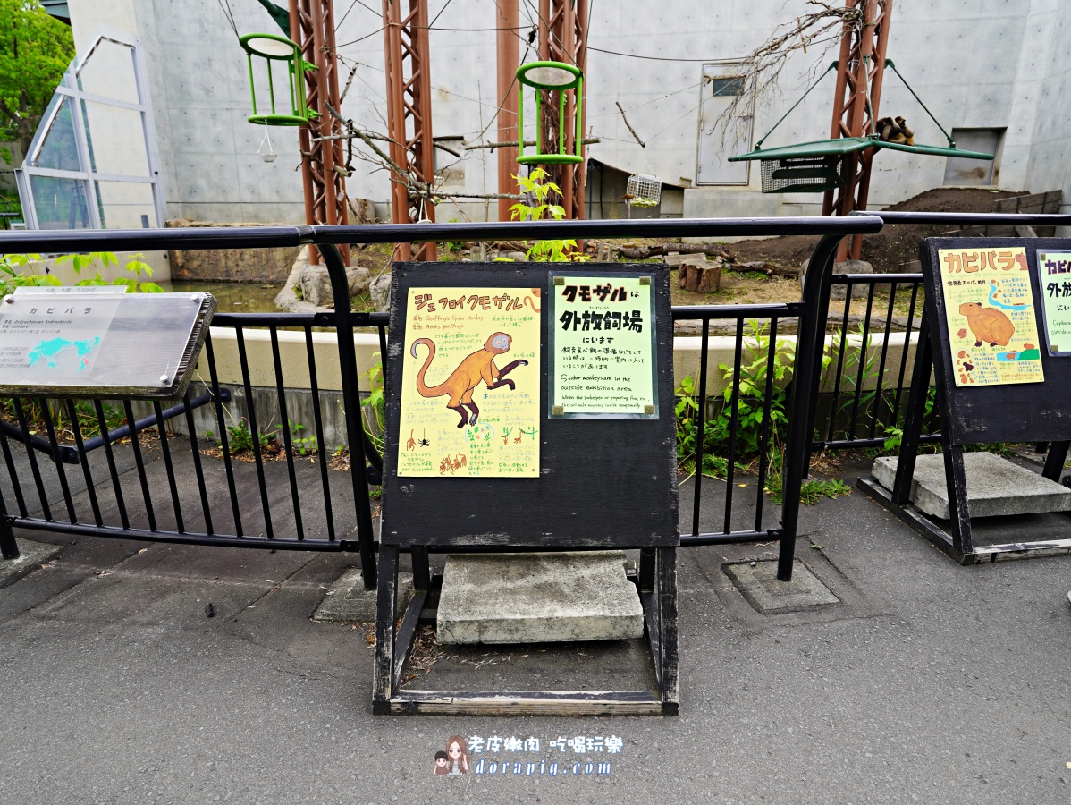 【北海道行程推薦】旭山動物園、美瑛青池絕美一日遊 - 老皮嫩肉的流水帳生活