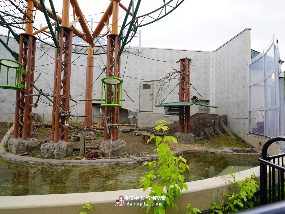 【北海道行程推薦】旭山動物園、美瑛青池絕美一日遊 - 老皮嫩肉的流水帳生活