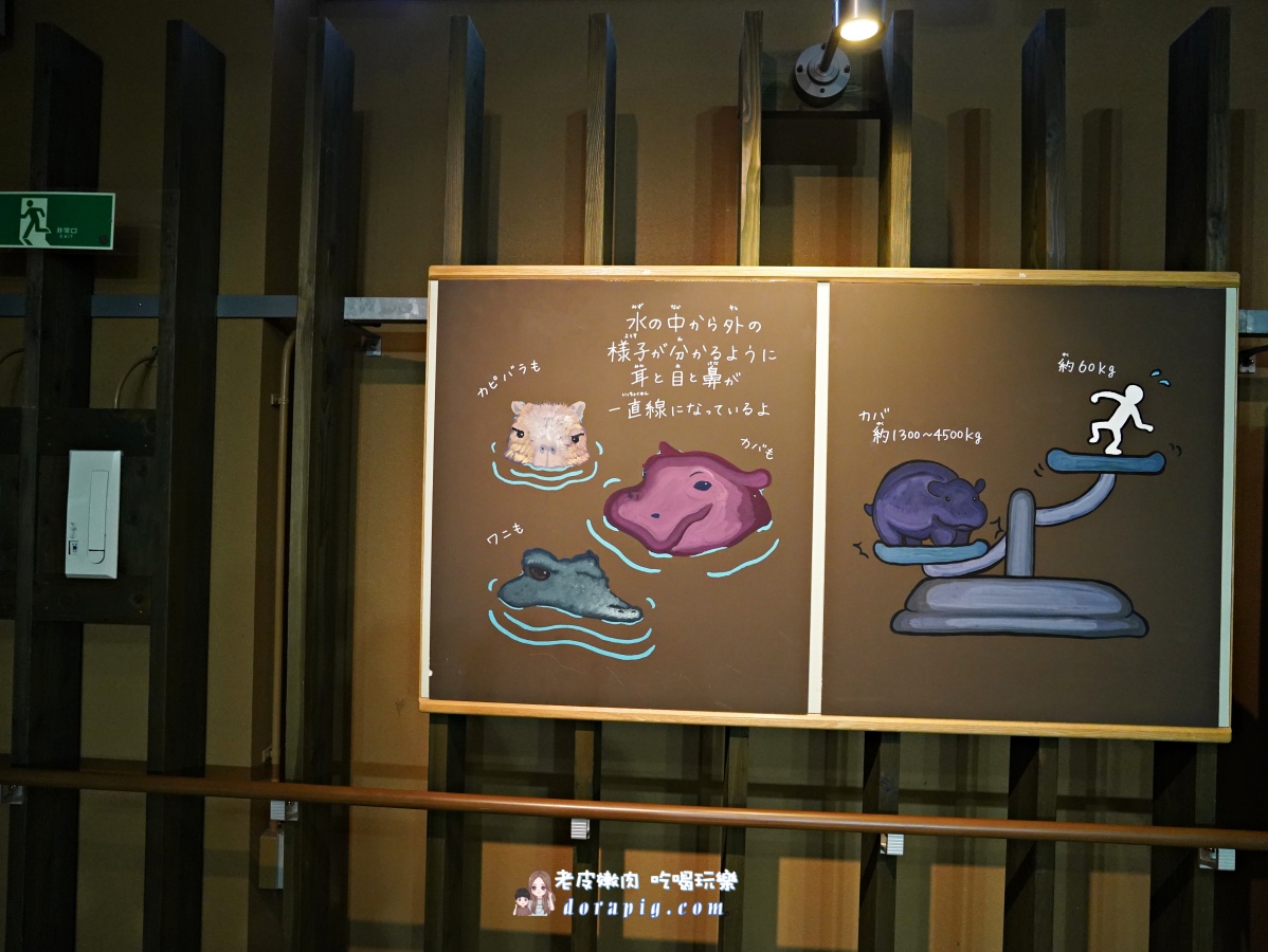 【北海道行程推薦】旭山動物園、美瑛青池絕美一日遊 - 老皮嫩肉的流水帳生活
