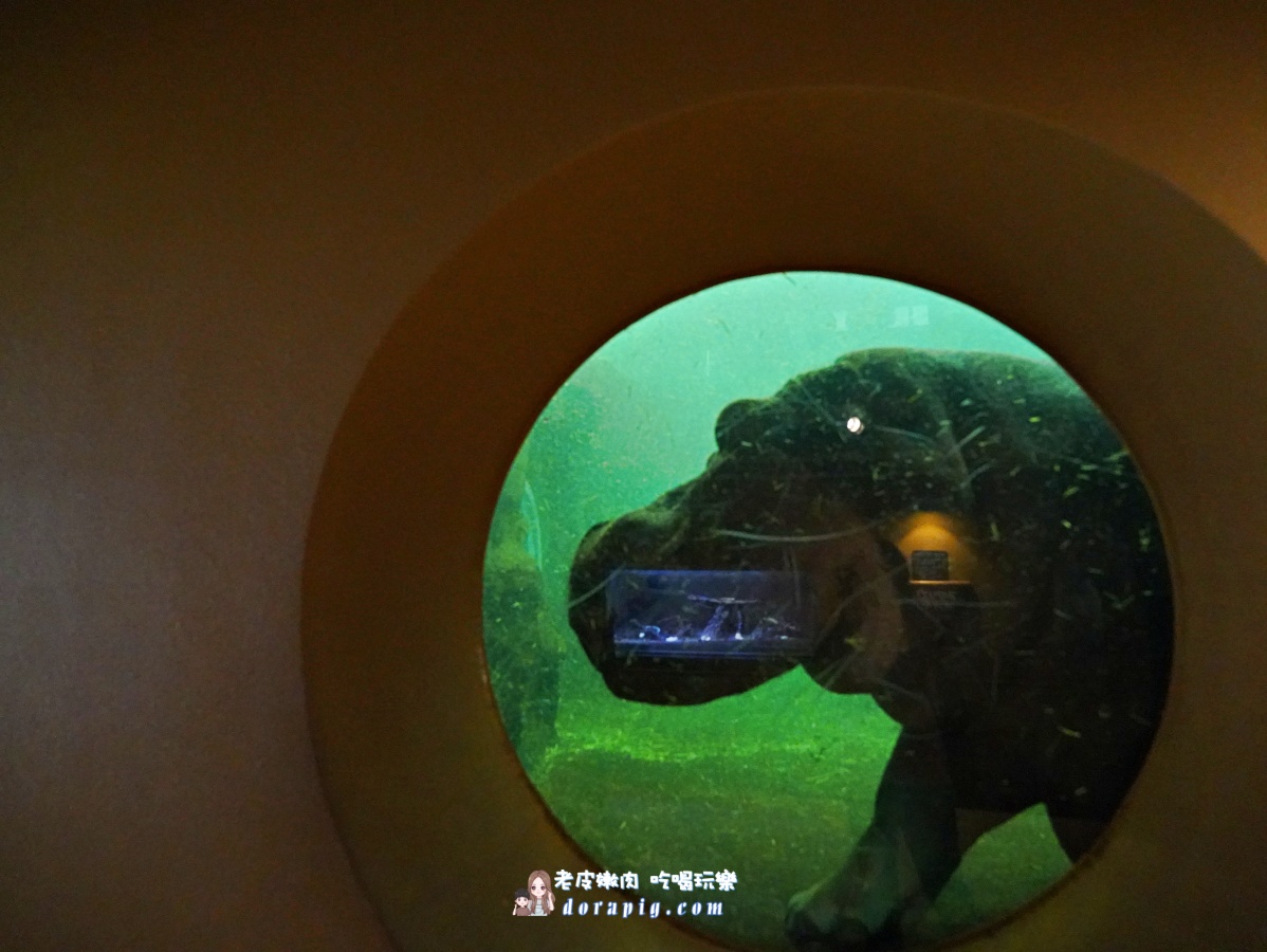 【北海道行程推薦】旭山動物園、美瑛青池絕美一日遊 - 老皮嫩肉的流水帳生活