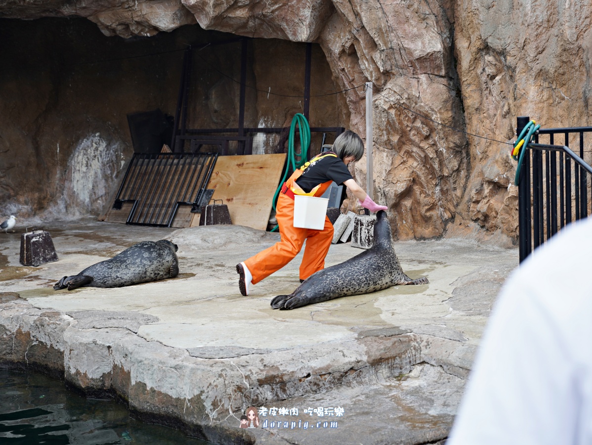 【北海道行程推薦】旭山動物園、美瑛青池絕美一日遊 - 老皮嫩肉的流水帳生活