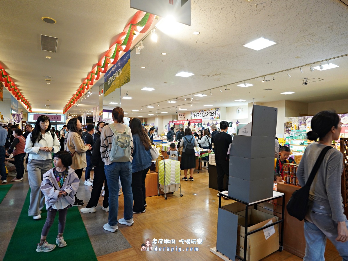 【北海道行程推薦】旭山動物園、美瑛青池絕美一日遊 - 老皮嫩肉的流水帳生活