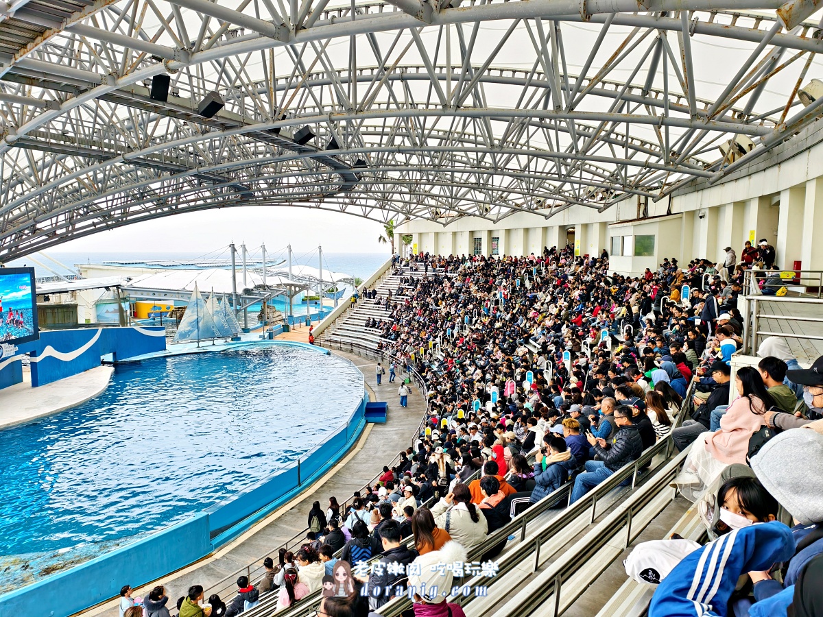 花蓮親子旅遊【遠雄海洋公園攻略】2026必玩設施、表演時間、行程規劃全解析 - 老皮嫩肉的流水帳生活