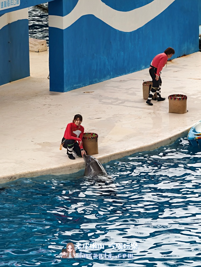 花蓮親子旅遊【遠雄海洋公園攻略】2026必玩設施、表演時間、行程規劃全解析 - 老皮嫩肉的流水帳生活