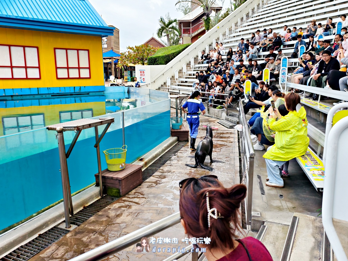 花蓮親子旅遊【遠雄海洋公園攻略】2026必玩設施、表演時間、行程規劃全解析 - 老皮嫩肉的流水帳生活