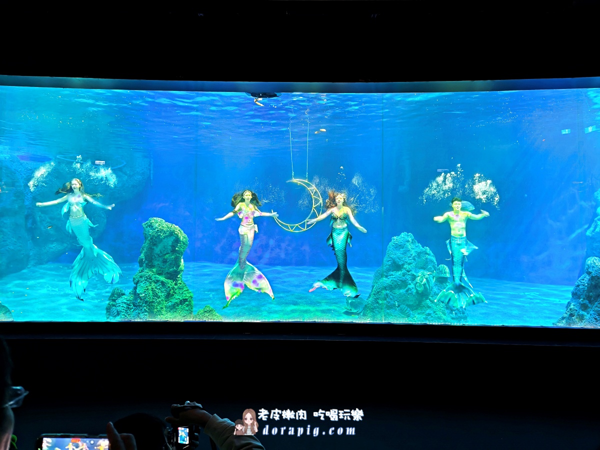 花蓮親子旅遊【遠雄海洋公園攻略】2026必玩設施、表演時間、行程規劃全解析 - 老皮嫩肉的流水帳生活