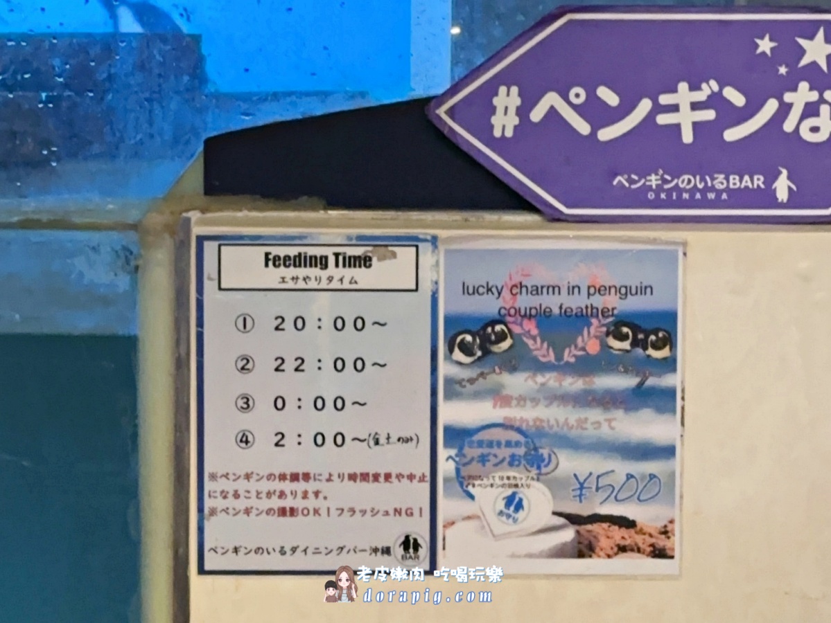 沖繩那霸夜生活新地標【企鵝居酒屋】 調酒、美食與超萌餵食秀一次滿足 - 老皮嫩肉的流水帳生活