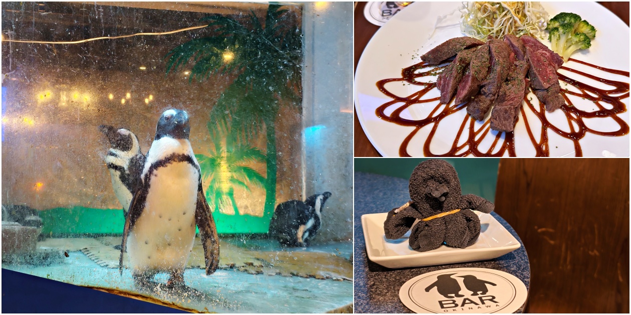 沖繩那霸夜生活新地標【企鵝居酒屋】 調酒、美食與超萌餵食秀一次滿足 - 老皮嫩肉的流水帳生活