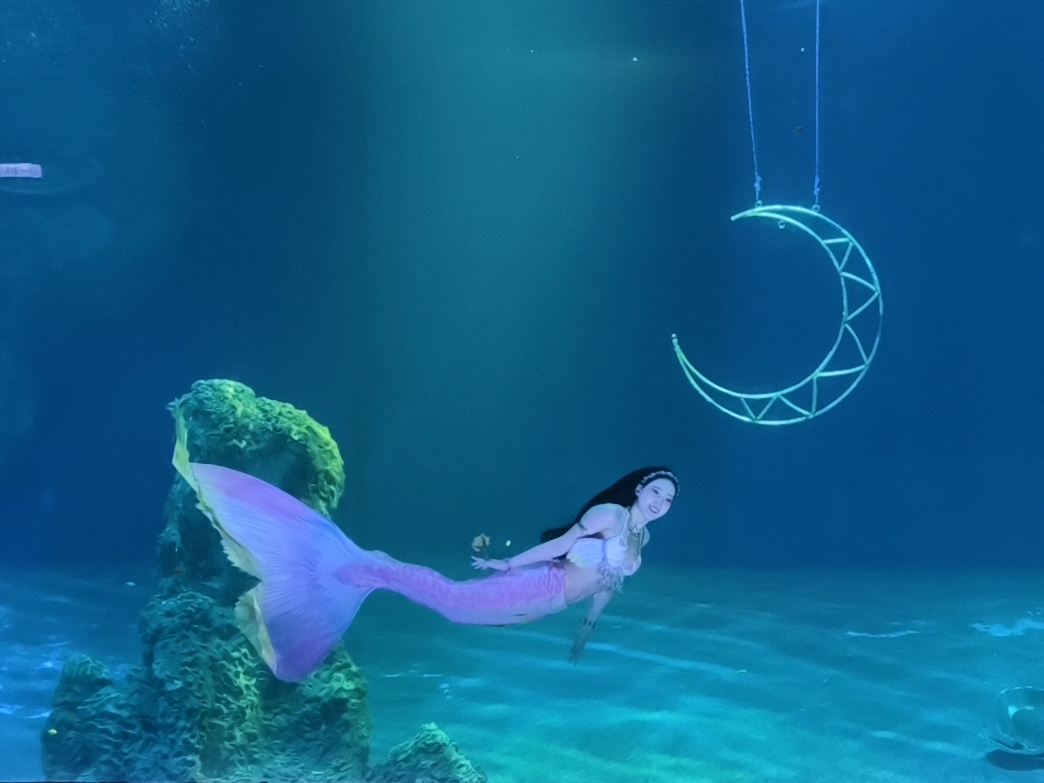 花蓮親子旅遊【遠雄海洋公園攻略】2026必玩設施、表演時間、行程規劃全解析 - 老皮嫩肉的流水帳生活
