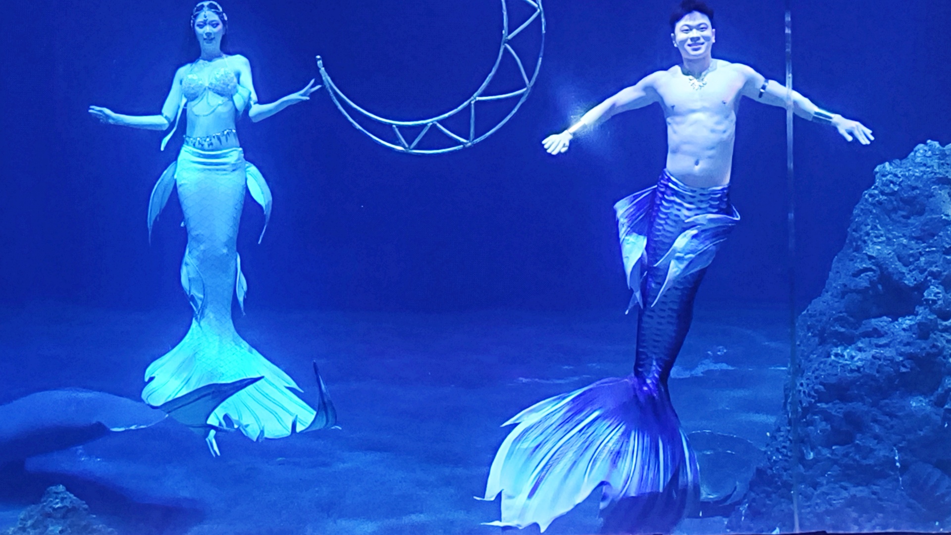 花蓮親子旅遊【遠雄海洋公園攻略】2026必玩設施、表演時間、行程規劃全解析 - 老皮嫩肉的流水帳生活