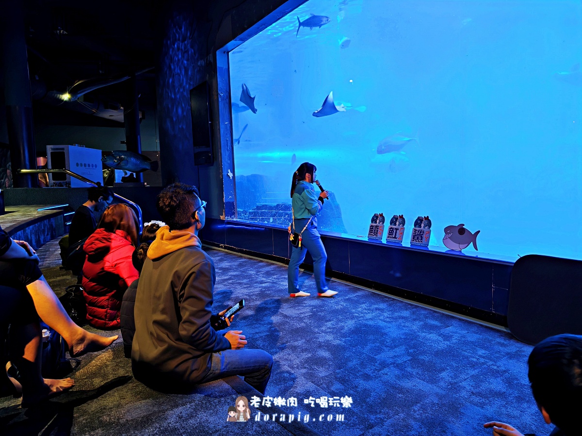 2026寒假必衝【遠雄海洋公園夜未眠】與鯊魚共眠的夢幻體驗 - 老皮嫩肉的流水帳生活 2026寒假必衝【遠雄海洋公園夜未眠】與鯊魚共眠的夢幻體驗 - 老皮嫩肉的流水帳生活