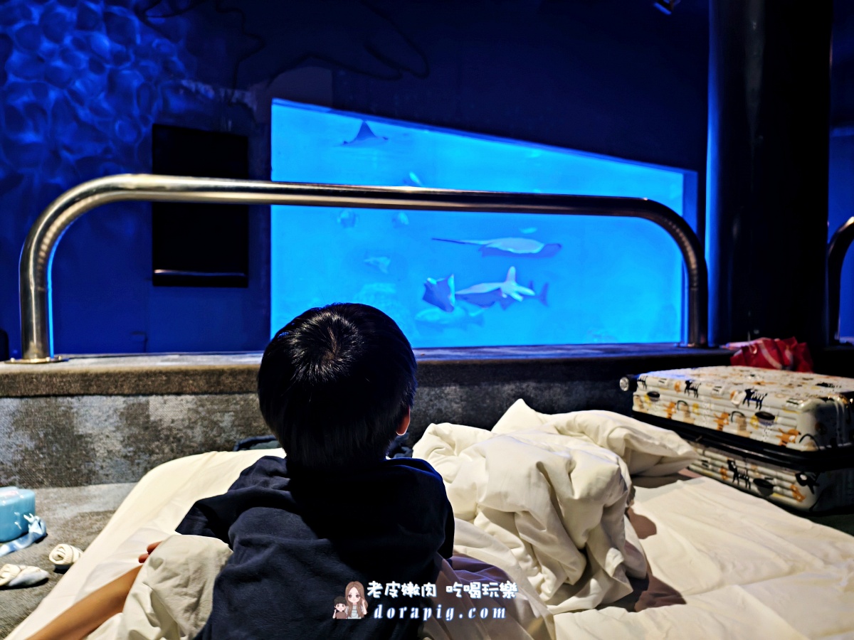 2026寒假必衝【遠雄海洋公園夜未眠】與鯊魚共眠的夢幻體驗 - 老皮嫩肉的流水帳生活 2026寒假必衝【遠雄海洋公園夜未眠】與鯊魚共眠的夢幻體驗 - 老皮嫩肉的流水帳生活