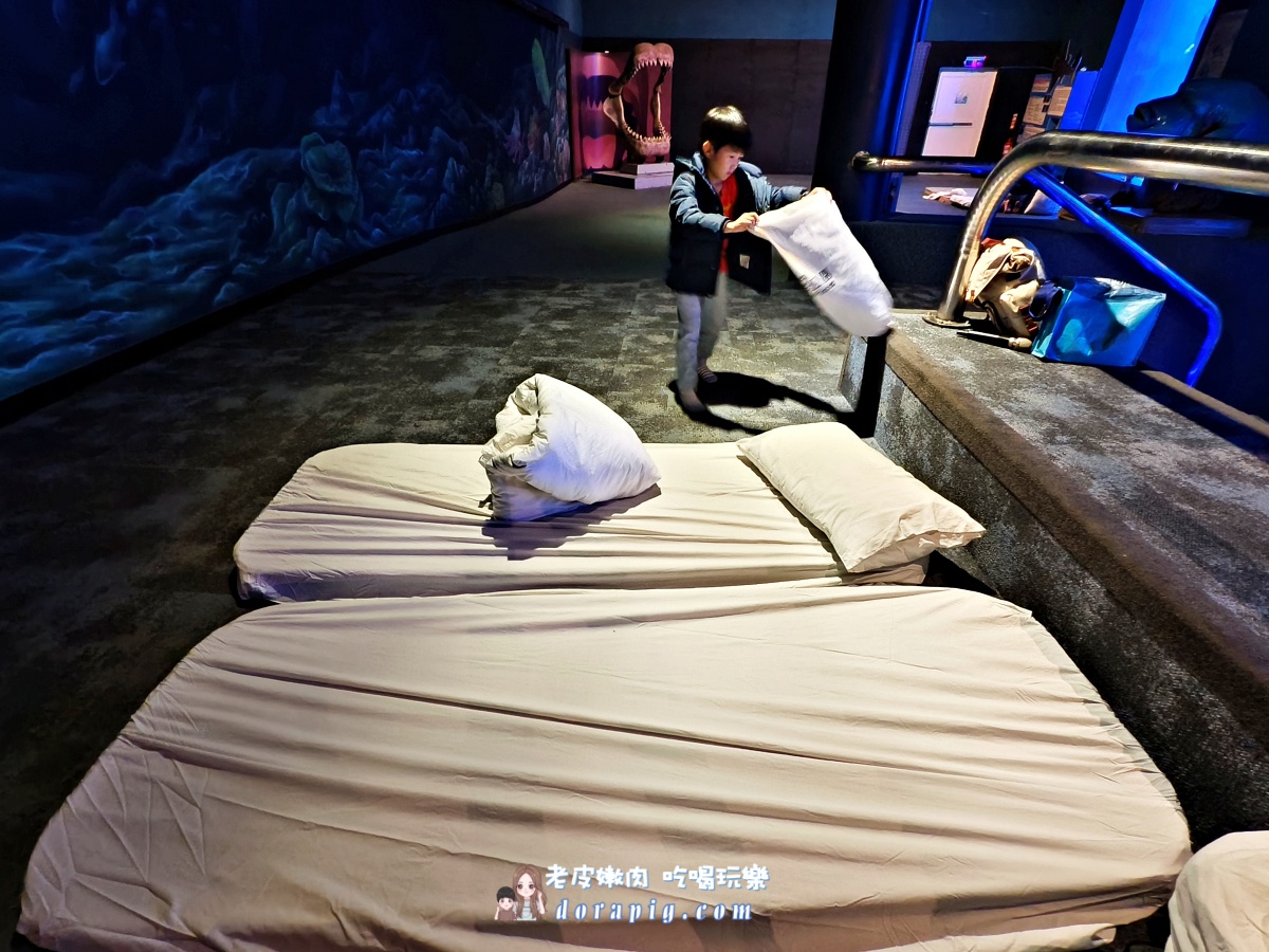 2026寒假必衝【遠雄海洋公園夜未眠】與鯊魚共眠的夢幻體驗 - 老皮嫩肉的流水帳生活 2026寒假必衝【遠雄海洋公園夜未眠】與鯊魚共眠的夢幻體驗 - 老皮嫩肉的流水帳生活