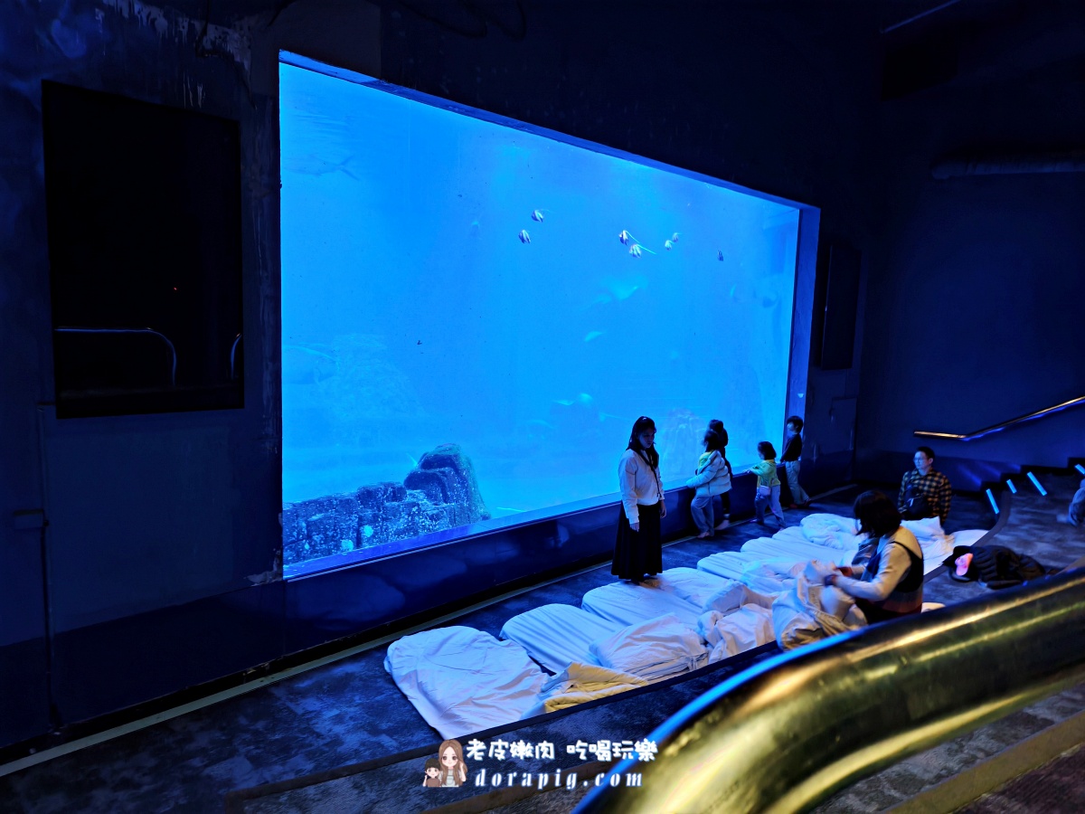 2026寒假必衝【遠雄海洋公園夜未眠】與鯊魚共眠的夢幻體驗 - 老皮嫩肉的流水帳生活 2026寒假必衝【遠雄海洋公園夜未眠】與鯊魚共眠的夢幻體驗 - 老皮嫩肉的流水帳生活