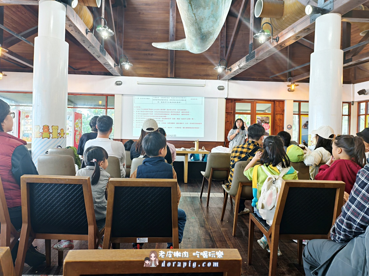 2026寒假必衝【遠雄海洋公園夜未眠】與鯊魚共眠的夢幻體驗 - 老皮嫩肉的流水帳生活 2026寒假必衝【遠雄海洋公園夜未眠】與鯊魚共眠的夢幻體驗 - 老皮嫩肉的流水帳生活