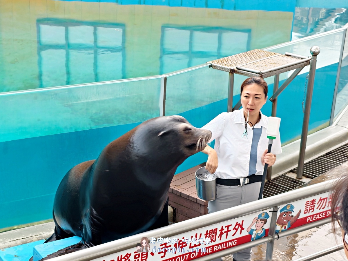 2026寒假必衝【遠雄海洋公園夜未眠】與鯊魚共眠的夢幻體驗 - 老皮嫩肉的流水帳生活 2026寒假必衝【遠雄海洋公園夜未眠】與鯊魚共眠的夢幻體驗 - 老皮嫩肉的流水帳生活