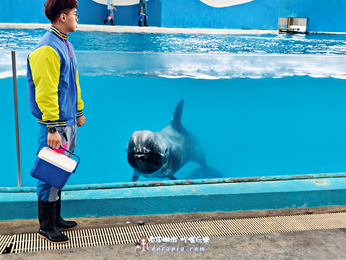 2026寒假必衝【遠雄海洋公園夜未眠】與鯊魚共眠的夢幻體驗 - 老皮嫩肉的流水帳生活 2026寒假必衝【遠雄海洋公園夜未眠】與鯊魚共眠的夢幻體驗 - 老皮嫩肉的流水帳生活