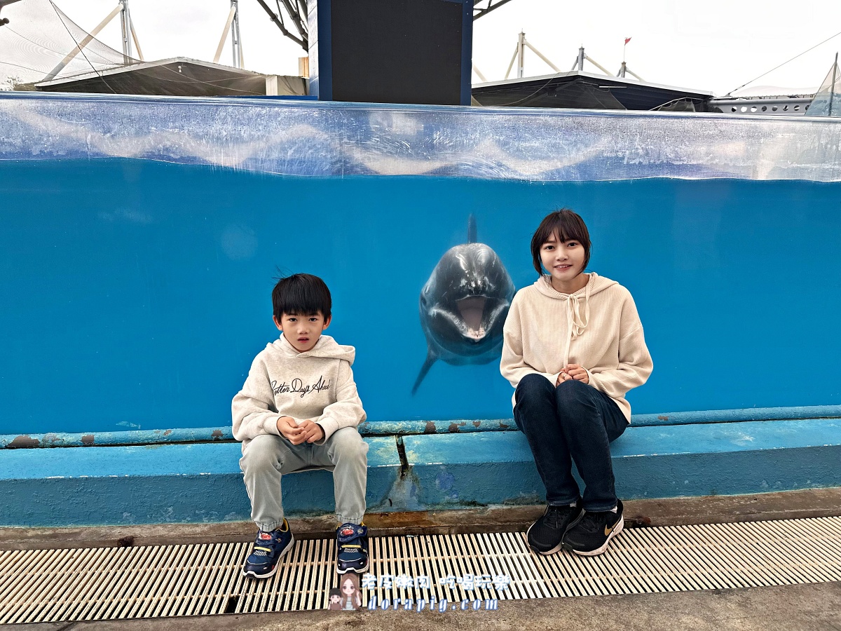 2026寒假必衝【遠雄海洋公園夜未眠】與鯊魚共眠的夢幻體驗 - 老皮嫩肉的流水帳生活 2026寒假必衝【遠雄海洋公園夜未眠】與鯊魚共眠的夢幻體驗 - 老皮嫩肉的流水帳生活