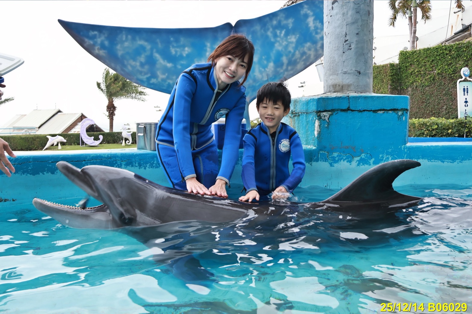 2026寒假必衝【遠雄海洋公園夜未眠】與鯊魚共眠的夢幻體驗 - 老皮嫩肉的流水帳生活 2026寒假必衝【遠雄海洋公園夜未眠】與鯊魚共眠的夢幻體驗 - 老皮嫩肉的流水帳生活